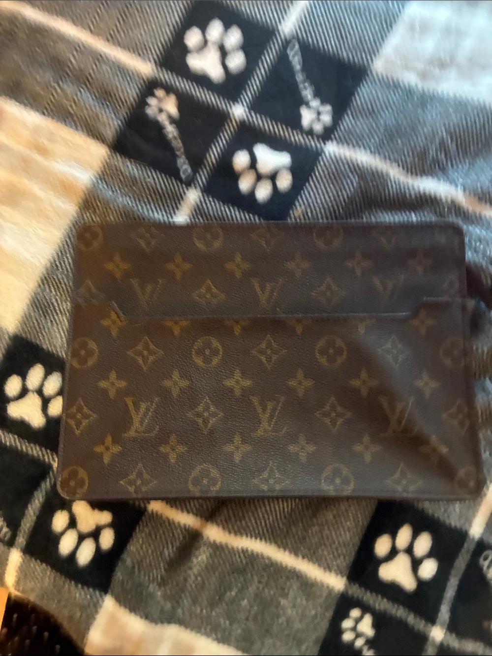 Louis Vuitton Monogram clutch/travel